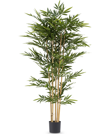Greenmoods Kunstplant bamboe 210 cm