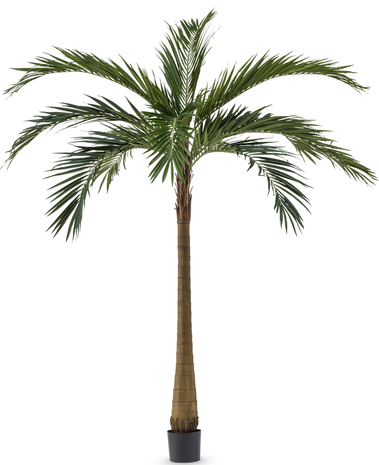 Palm XL Deluxe 270 cm