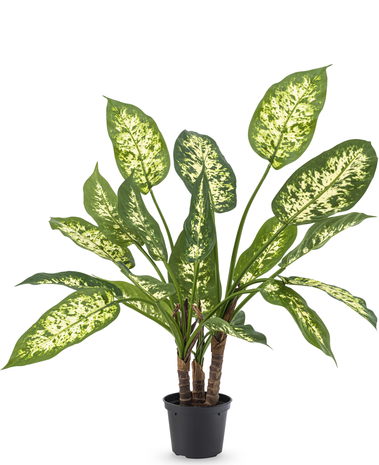 Greenmoods Kunstplant Dieffenbachia 40 cm