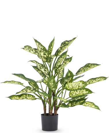 Kunstplant Dieffenbachia 68 cm
