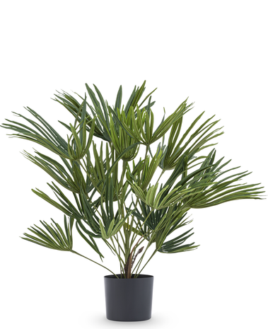 Kunstplant Baby Palm Fan in pot 50 cm