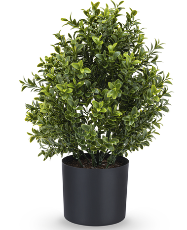 Greenmoods Kunstplant buxus mini 36 cm in pot UV