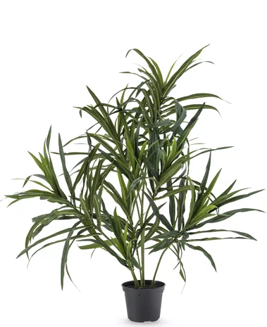 Greenmoods Kunstplant Dracaena Reflexa in pot 63 cm