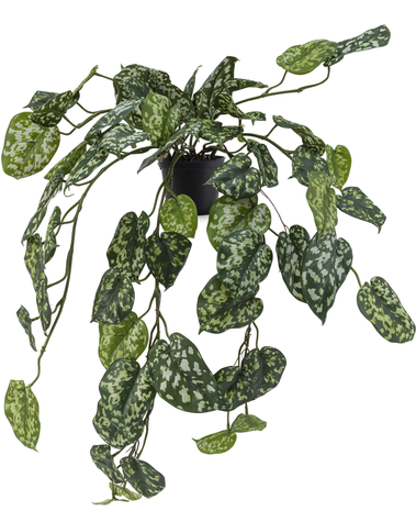 Kunst hangplant Scindapsus 70 cm