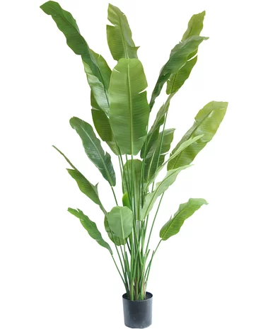 Greenmoods Kunstplant Strelitzia Nicolai Deluxe 215 cm