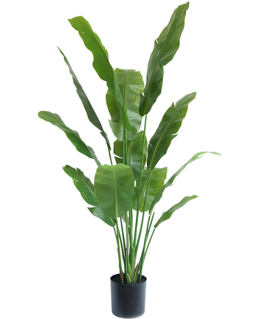 Greenmoods Kunstplant Strelitzia Nicolai Deluxe 170 cm