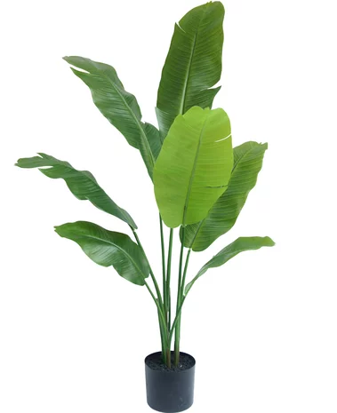 Greenmoods Kunstplant Strelitzia Nicolai Deluxe 120 cm