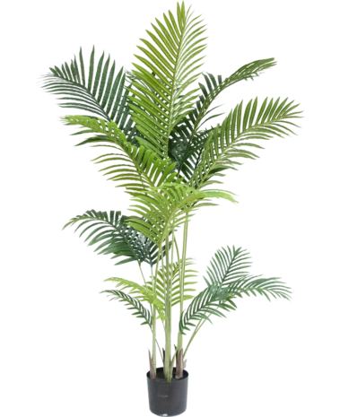 Greenmoods Kunstplant Phoenix 170 cm