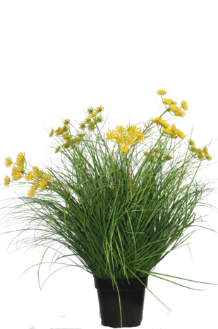Kunst Grasplant Asteraceae 70 cm