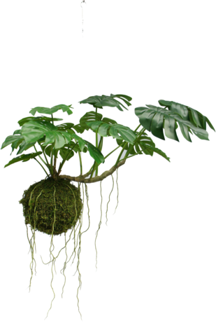 Greenmoods Kunst hangplant Monstera Deluxe 60 cm