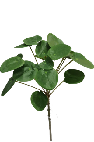Greenmoods Kunst Pilea Pannenkoekplant 50 cm