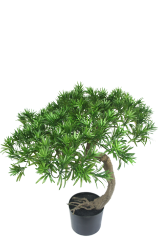 Greenmoods Kunst Bonsaiboom Pine 55 cm