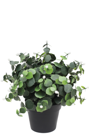 Kunstplant Eucalyptus wit in pot 22 cm UV
