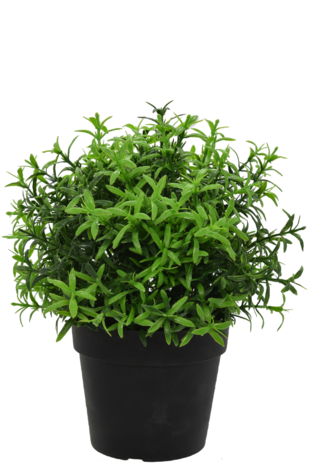 Greenmoods Kunstplant Kruiden in pot 21 cm UV