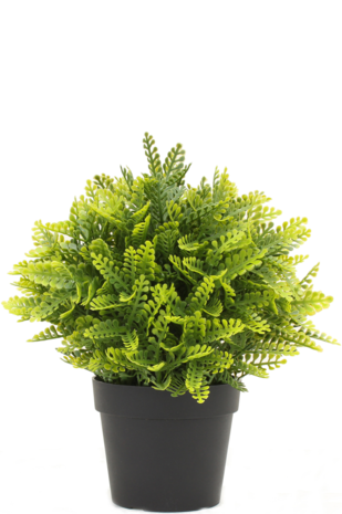 Greenmoods Kunstplant Varen in pot 22 cm UV