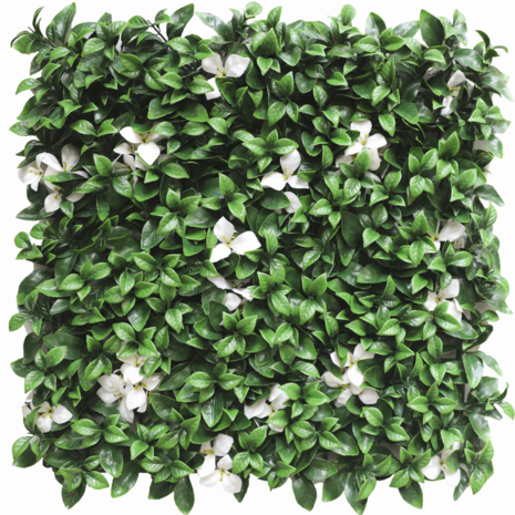 Kunsthaag Gardenia met witte bloem 50x50 cm UV