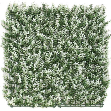 Greenmoods Kunsthaag Buxus wit 50x50 cm UV