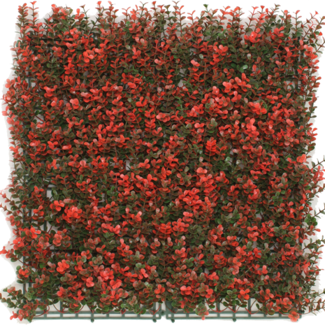 Kunsthaag Buxus rood 50x50 cm UV
