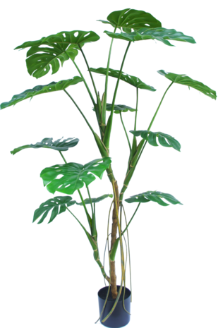 Greenmoods Kunstplant Monstera 150 cm