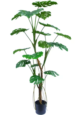 Greenmoods Kunstplant Monstera 180 cm