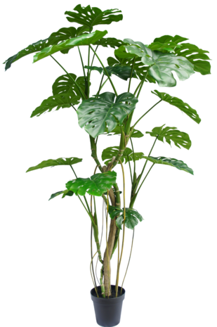 Greenmoods Kunstplant Monstera 210 cm