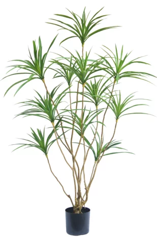 Greenmoods Kunstplant Dracaena 150 cm