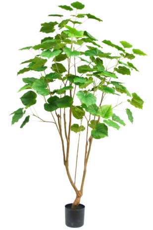 Greenmoods Kunstplant Ficus 180 cm