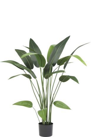 Greenmoods Kunstplant Heliconia 110 cm