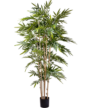 Plakken evenwichtig toegang Kunstplant bamboe 180cm - Easyplants