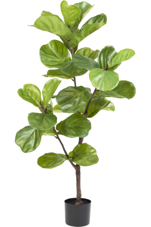 Kunstplant Ficus Tabaksplant Deluxe 125 cm