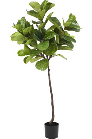 Kunstplant Ficus Tabaksplant Deluxe 180 cm