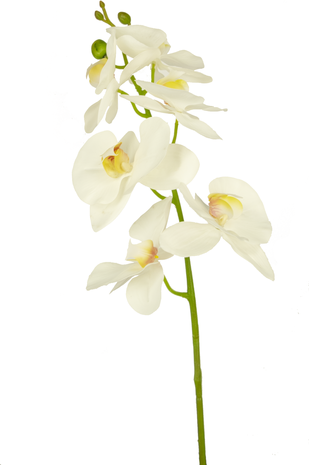 Kunstbloem Orchidee 84 cm wit