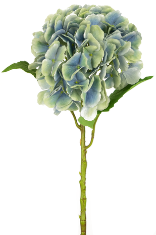 Greenmoods Kunstbloem Hortensia 55 cm blauw