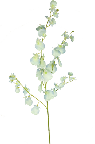 Greenmoods Kunsttak Orchidee 80 cm turquoise