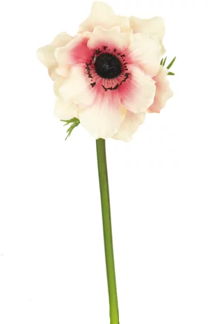 Greenmoods Kunstbloem Anemone 43 cm wit/roze