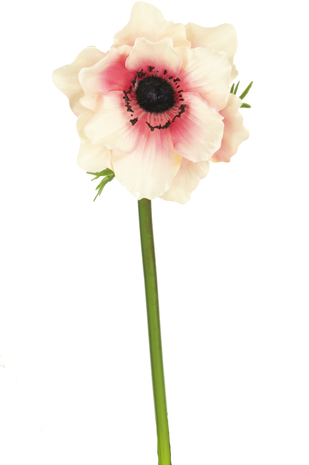 Kunstbloem Anemone 43 cm wit/roze