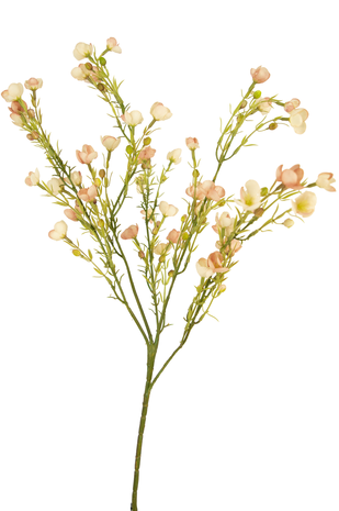 Kunstbloem Waxflower 85 cm roze