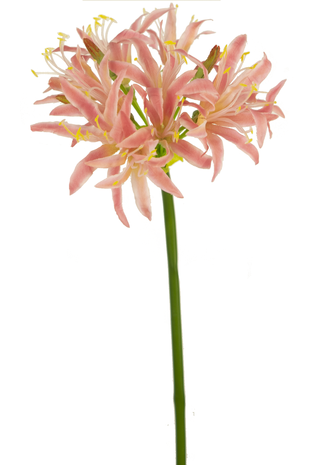 Kunstbloem Nerine 70 cm roze