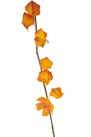 Kunstbloem Physalis Lampion 90 cm oranje