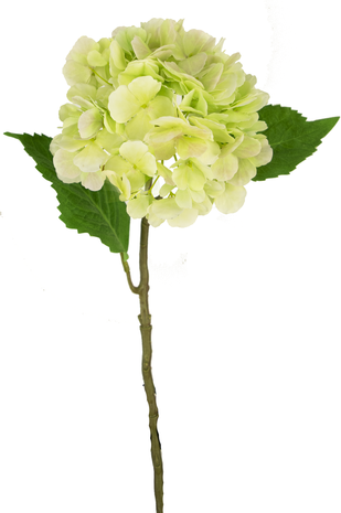 Kunstbloem Hortensia 55 cm wit