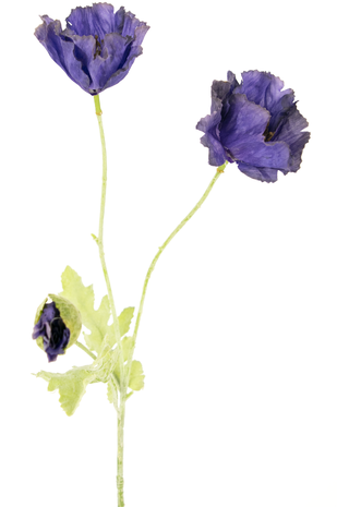 Kunstbloem Poppy 73 cm paars