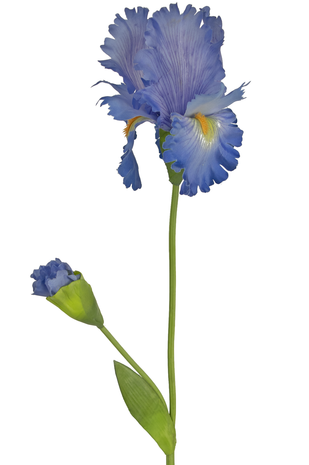 Kunstbloem Iris 80 cm blauw