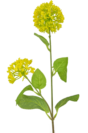 Greenmoods Kunstbloem Sneeuwbal/Viburnum 70 cm geel