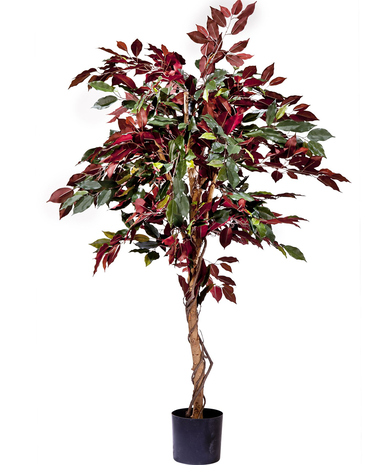 Greenmoods Kunstplant Ficus groen/rood 150 cm