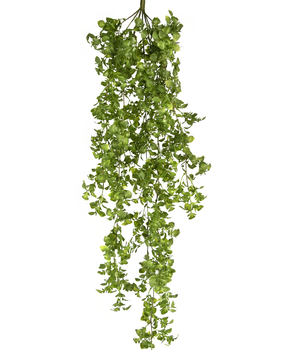 Leven van Zweet ijsje Kunst hangplant Broadleaf 105 cm - Easyplants
