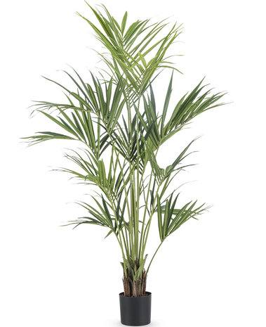 Greenmoods Kunstplant Kentia Palm 190 cm brandvertragend