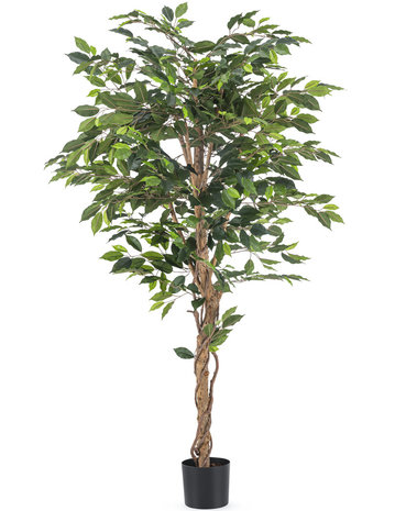 Kunstplant Ficus 180 cm brandvertragend