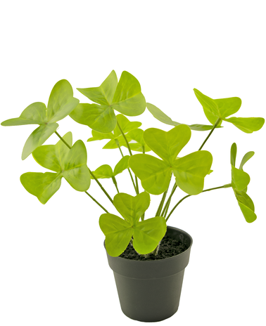 Greenmoods Kunstplant Clover 30 cm in sierpot zwart