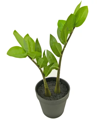 Greenmoods Kunstplant Zamioculcas 35 cm
