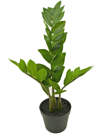 Greenmoods Kunstplant Zamioculcas 50 cm